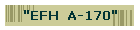 "EFH A-170"